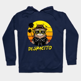 Despacito Sloth Hoodie